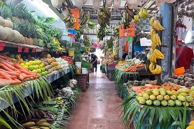 Puerto Morelos Foodie Tour, Mexico in every bite! - Stop 1: Puerto Morelos neighborhoods and the family food route