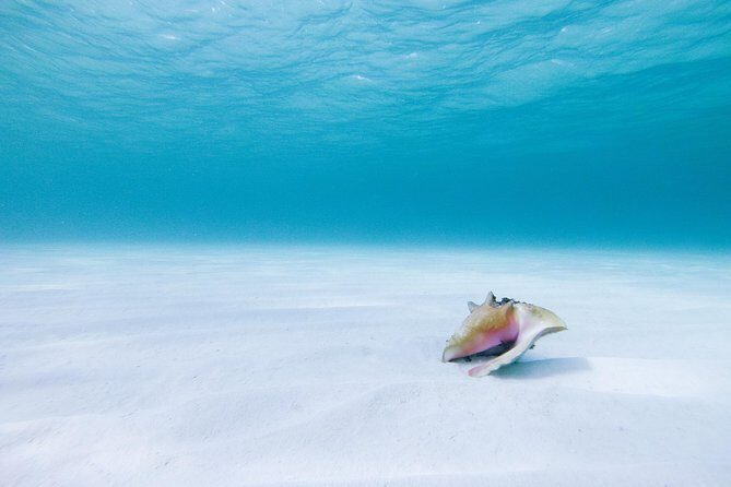 Puerto Morelos Secret Sandbar Catamaran Sail - Who should book this Puerto Morelos sandbar catamaran sail