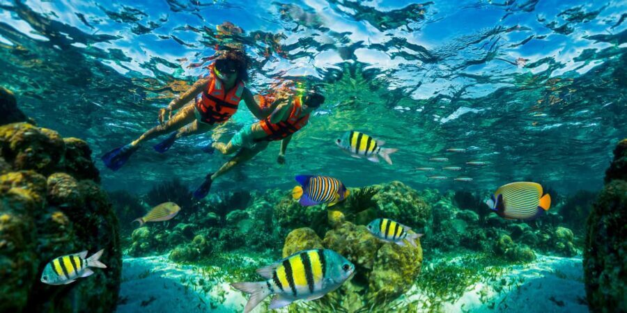 Puerto Morelos: Snorkel, Town Walk, Tequila & Beach Lunch - Quick take: what you’ll really notice