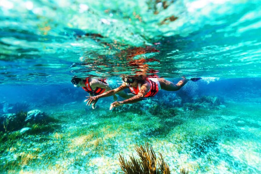 Puerto Morelos: Snorkel, Town Walk, Tequila & Beach Lunch - Price and Extra Fees: Is $39 Good Value?