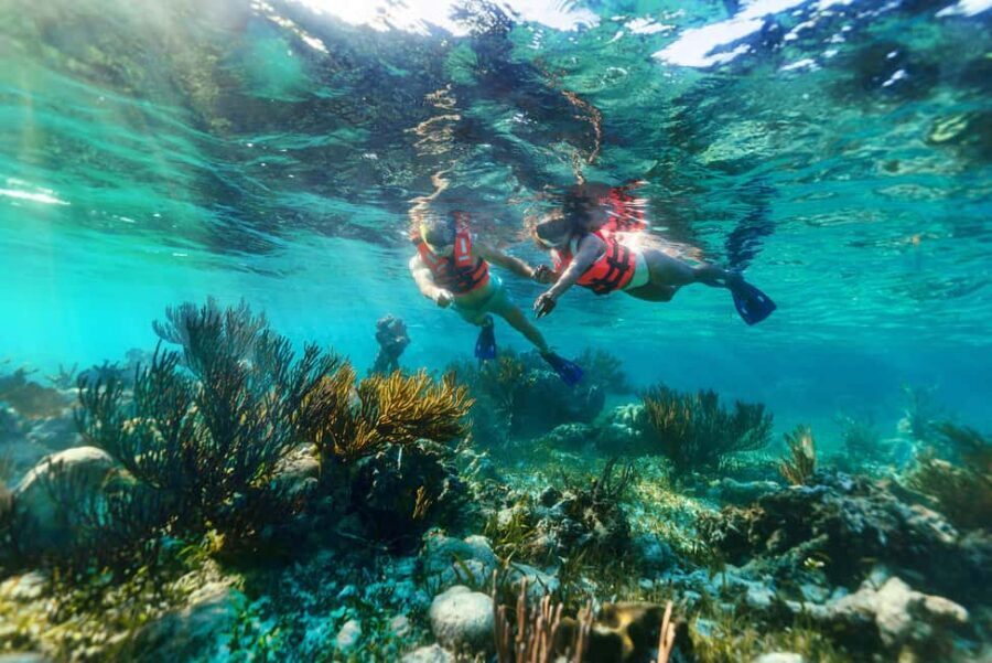Puerto Morelos: Snorkel, Town Walk, Tequila & Beach Lunch - Snorkeling the Great Mayan Reef: What You’ll See and How Time Works