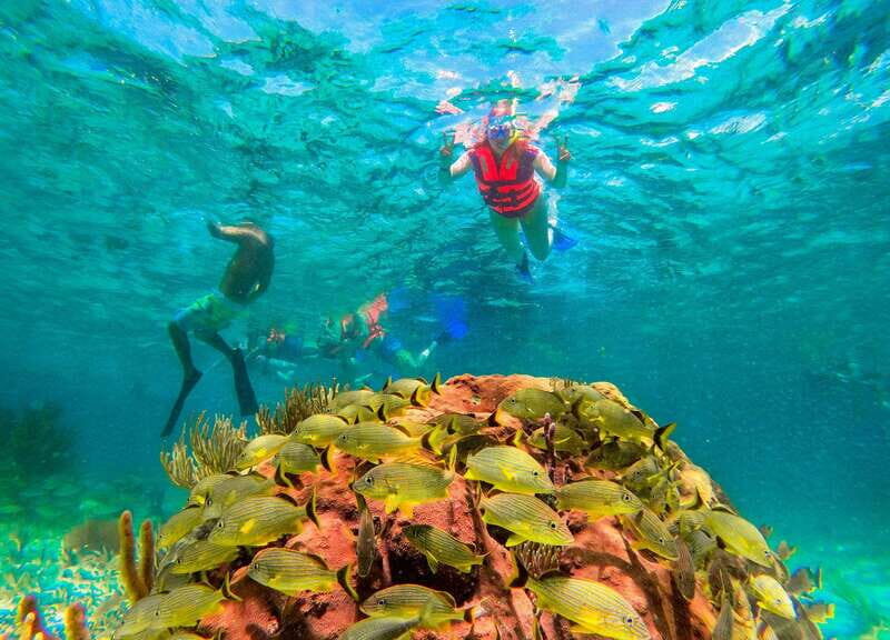Puerto Morelos: Snorkel, Town Walk, Tequila & Beach Lunch - Photos and Phones: Plan for a Camera-Free Day
