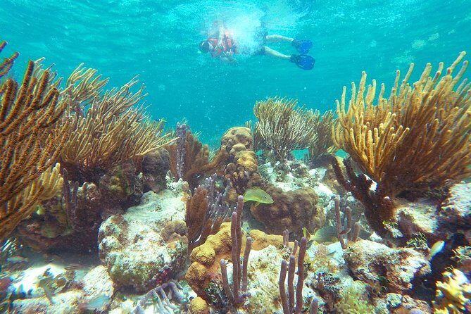 Reef Snorkeling in National Park from Cancun with Beachside Lunch - Puerto Morelos after the water: shower, tacos, and a real fishing town