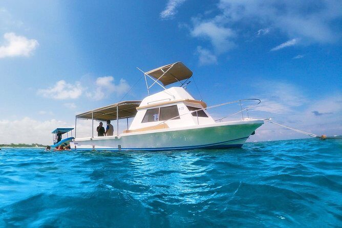 Reef Snorkeling in National Park from Cancun with Beachside Lunch - Who this tour fits best (and who should rethink it)