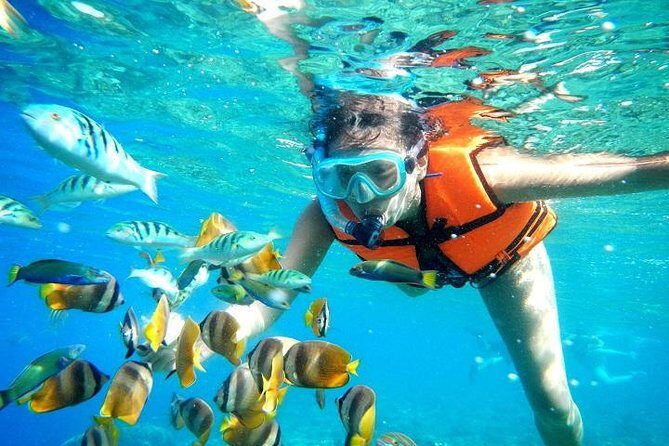 Reef Snorkeling in National Park from Cancun with Beachside Lunch - Price and the real cost once you’re there
