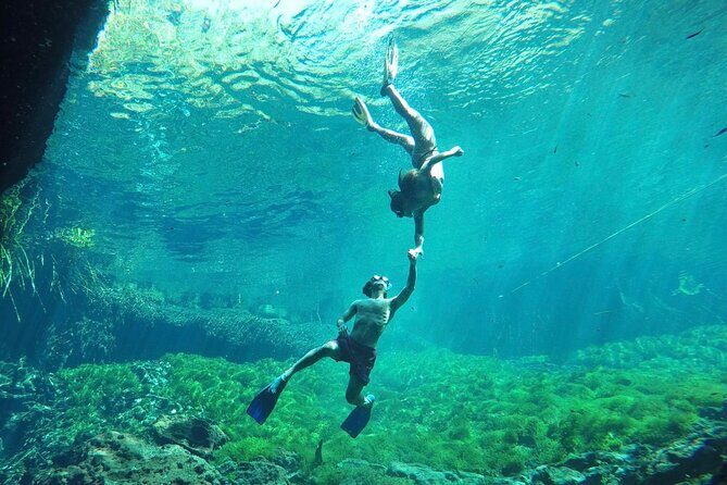 Ride to a life changing cenotes tour - The Jungle Ride With Local Guides You Can Actually Ask Questions To