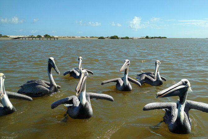 Rio Lagartos guided boat tour- Ek Balam from Valladolid - Timing, pickup, and how to pack for this long Valladolid day
