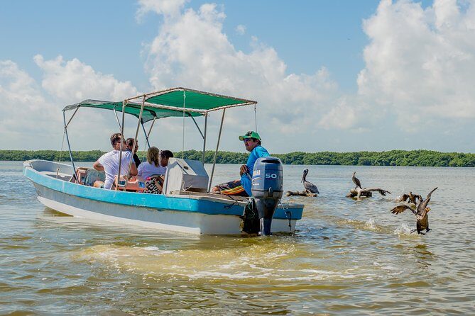 Rio Lagartos guided boat tour- Ek Balam from Valladolid - Guide impact: why José and Gilberto keep showing up in the good days