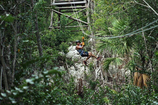 Riviera Maya Jungle Half-Day Tour: ATV, Ziplines, Cenote Swim, Rappel - Guides make a noticeable difference