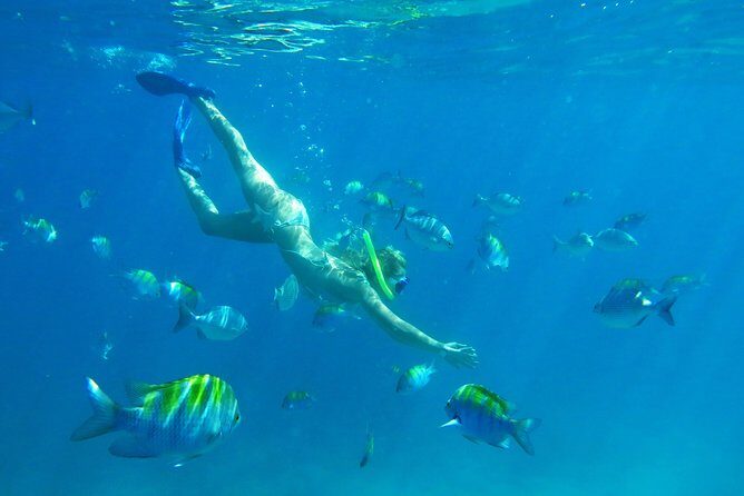 Riviera Maya Luxury Snorkeling Cruise with Lunch and Drinks - Lunch and Drinks: Open Bar Fun With Light Food Reality