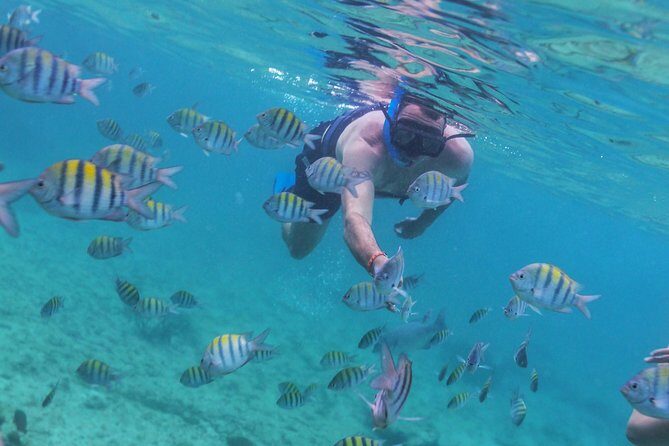 Riviera Maya Luxury Snorkeling Cruise with Lunch and Drinks - Group Size, Family vs Adults-Only, and Who This Works For
