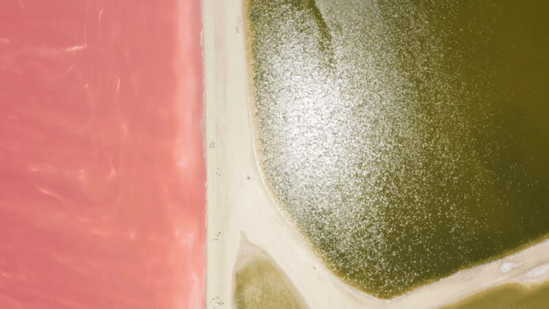 Riviera Maya: Rio Lagartos & Las Coloradas Day Trip w/Lunch - The Mayan bath: nutrient clay, then the beach rinse