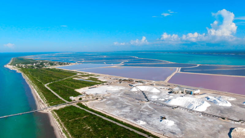 Riviera Maya: Rio Lagartos & Las Coloradas Day Trip w/Lunch - The full 12-hour rhythm: how pickup and transfers shape the day