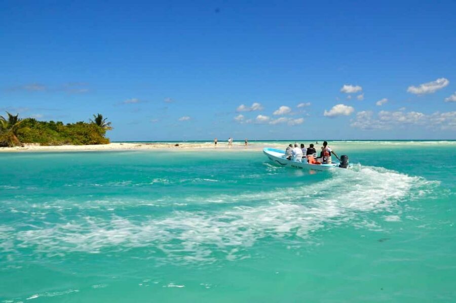 Riviera Maya: Sian Ka'an Reserve Ancient Maya Canals Tour - Capelchén and the wildlife hunt: where manatees and crocs can show up