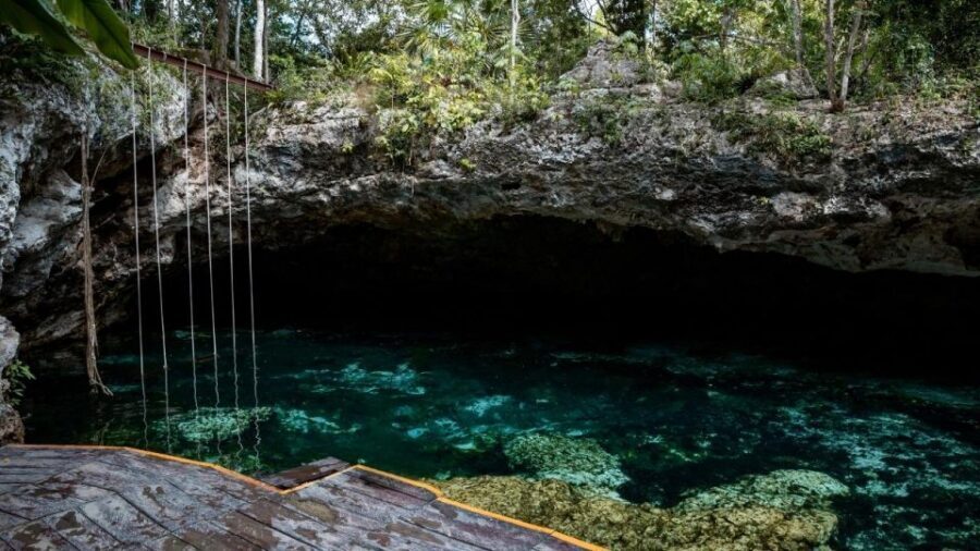 Riviera Maya: Tulum Ruins and 2 Cenotes Half-Day Tour - Practical Tips for Sun, Jungle Water, and Better Photos