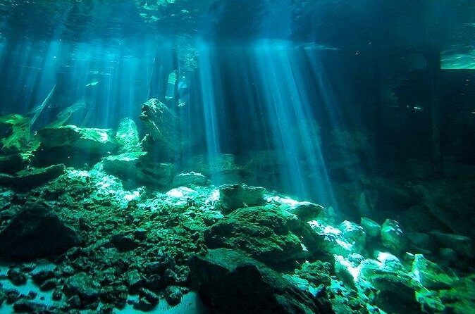 Scuba Diving in Cenote Dos Ojos from Playa del Carmen - Photo Rules: You Focus on the Experience, Not the Camera