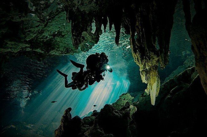 Scuba Diving in Cenote Dos Ojos from Playa del Carmen - Who This Trip Fits Best (And Who Should Reconsider)