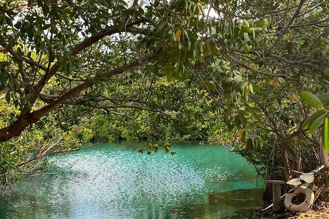Small-Group 3 Cenotes Adventure Tour - Aktun Yax Kan: The Cave Experience With Flashlights and Total Darkness