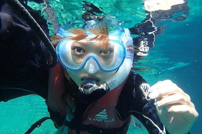Small-Group Mesoamerican Barrier Reef Snorkeling in Puerto Morelos - Key highlights that matter in the water