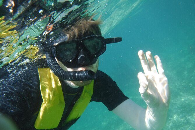 Small-Group Mesoamerican Barrier Reef Snorkeling in Puerto Morelos - The 2-hour flow: how the day stays simple