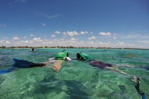 Snorkeling with Caribbean fish and private cenote exploration - Tankah Snorkeling: Caribbean Fish Without the Headache of Open-Water Swells
