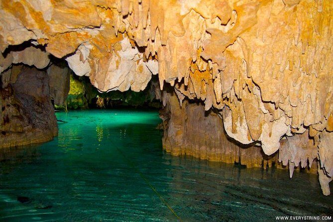 Snorkeling with Caribbean fish and private cenote exploration - Lunch and Gear: The Practical Stuff That Keeps Your Day Smooth