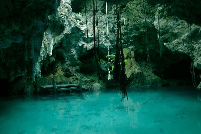 Snorkeling with Caribbean fish and private cenote exploration - Tulum Archaeological Site Stop: A Quick Culture Add-On