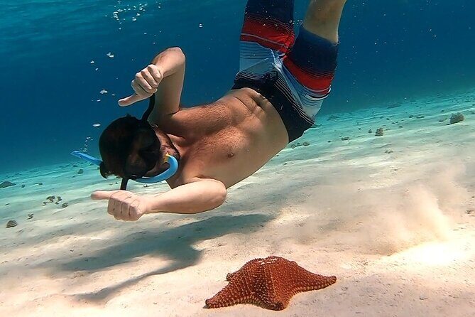 Starfish, Stingrays and the Turtle Sanctuary Snorkel Tour - The Itinerary Stops: What Each Place Is For