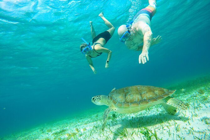Starfish, Stingrays and the Turtle Sanctuary Snorkel Tour - Guides and Captains: The Difference Between Fun and Frustration