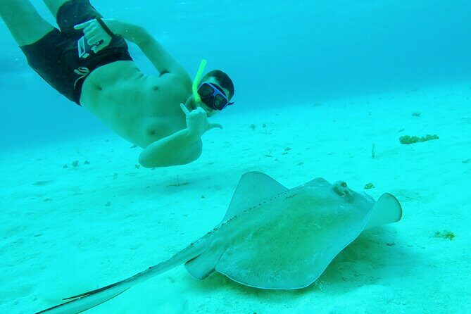 Starfish, Stingrays and the Turtle Sanctuary Snorkel Tour - Getting There: Marina Asipona and the Meeting Point Game