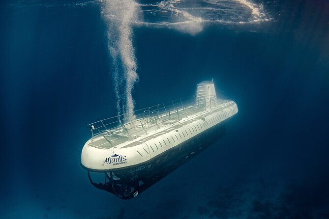 Submarine Atlantis Cozumel Adventure by Day & Sunset - Chankanaab Reef plus the shipwreck: why this site is memorable
