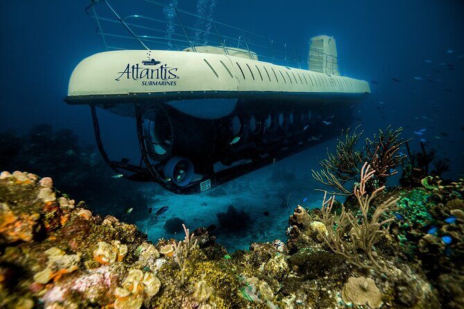 Submarine Atlantis Cozumel Adventure by Day & Sunset - Price and fees: budget for more than the $120