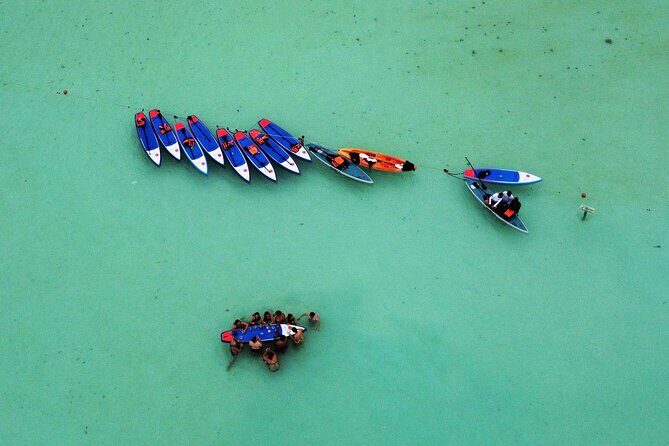 Sunrise by Paddle or Kayak with Floating Picnic - When the water goes dark: black lagoon nerves