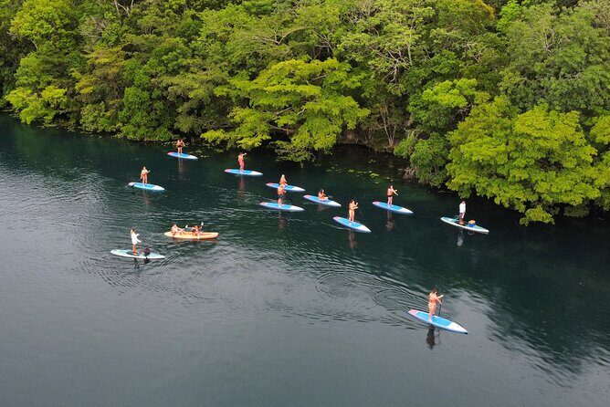 Sunrise by Paddle or Kayak with Floating Picnic - Price and value: what $29.80 really buys