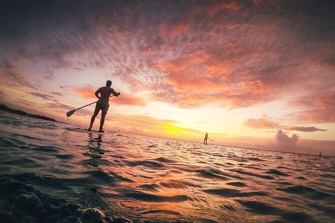 Sunrise Session - The #1 Paddleboard Tour On The Caribbean Sea - What You Learn on the Water: Beginner Strokes, Balance, and Confidence