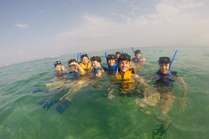 Swim with sea turtles - Akumal Sea Turtles: what this snorkel is really about