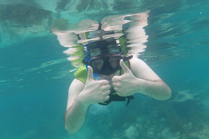 Swim with sea turtles - Entrance fees, lockers, and gear: what you shouldn’t pay for twice