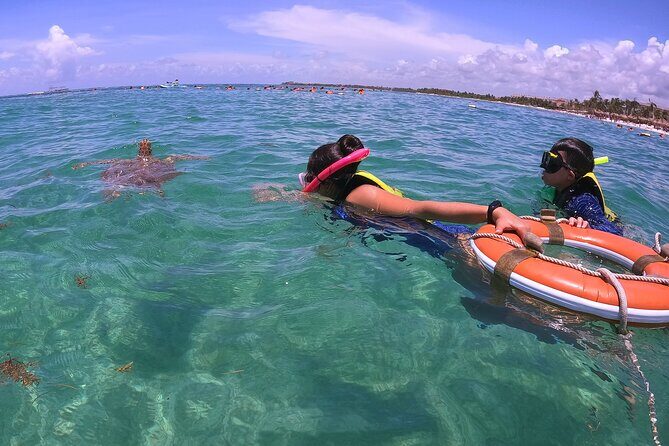 Swim with Turtles in Akumal + GoPro Photo Session - Akumal Turtle Snorkeling That Feels Personal (Not Like a Stampede)