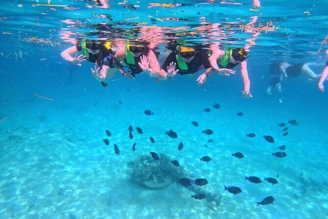 Swim with Turtles in Akumal + GoPro Photo Session - Why the Guide Matters (And Why Photo Timing Is Part of the Craft)