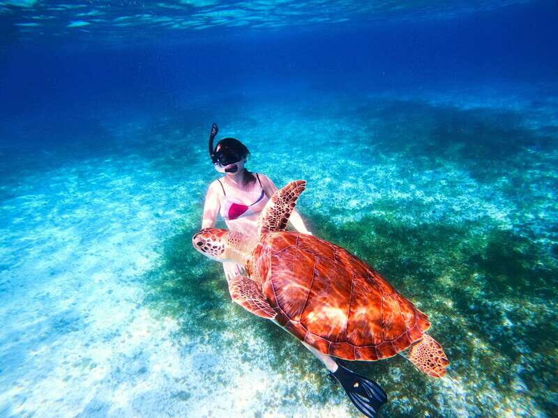 The Cozumel Turtle Sanctuary Snorkel Tour - Conservation and safety: the rules that keep the ocean intact