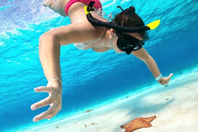 The Cozumel Turtle Sanctuary Snorkel Tour - The Turtle Sanctuary Stop: Natural Habitat, Real Wildlife Expectations