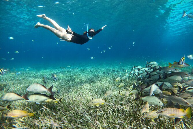 The Cozumel Turtle Sanctuary Snorkel Tour - The Sail Back at Sunset: Golden Hour Is Part of the Deal