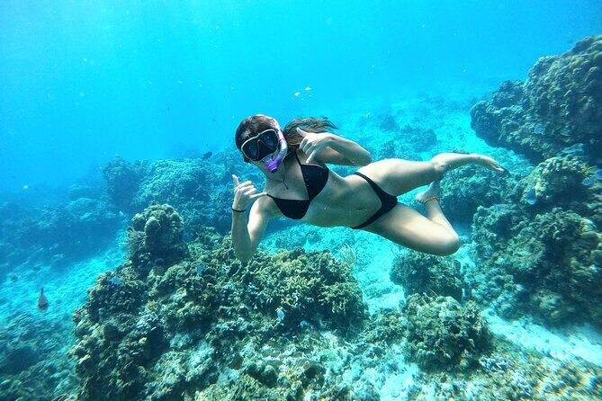 The Cozumel Turtle Sanctuary Snorkel Tour - Price and Value: $65.58 Plus the Extra Fees You Should Plan For