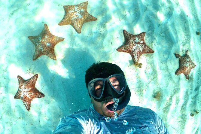 The Cozumel Turtle Sanctuary Snorkel Tour - Getting There Smoothly: Downtown Meet Point, Pier Pickups, and Time Zones