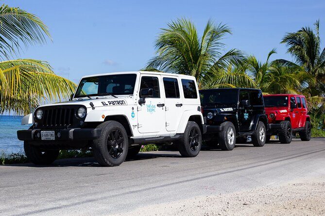 The Original Jeep Tour Revamped by Tortugas Cozumel® (Private) - Playa Publica San Martin: classic white sand across open water