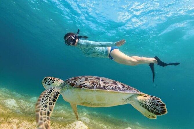 Tour to Tulum and cenote with swimming with turtles from Riviera Maya - Akumal sea turtles: lockers, calm cove swimming, and eco-fees to plan for