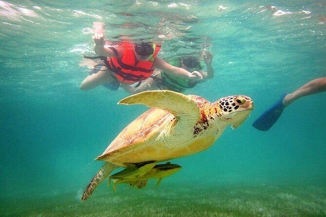 Tour to Tulum and cenote with swimming with turtles from Riviera Maya - Price and value: what you pay vs what you’ll pay on top