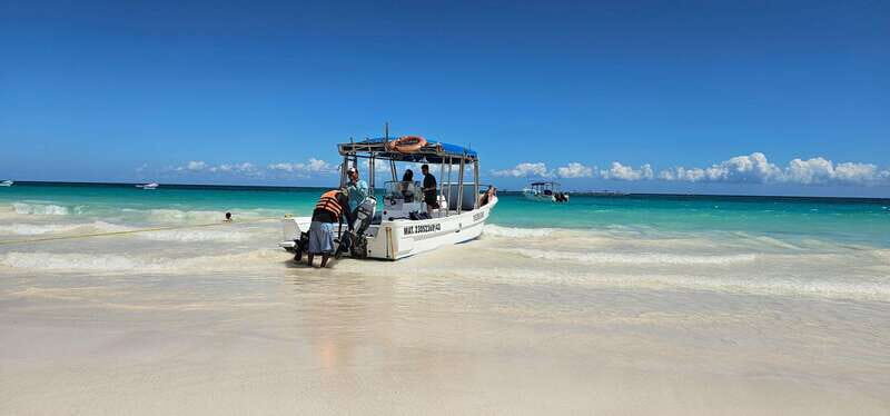 Tulum: 2-Hour Snorkeling in Two Spots of Tulum's Reef - Snorkeling two Tulum reef spots without burning a whole day