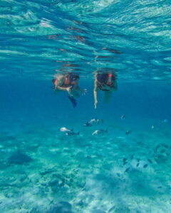 Tulum: 2-Hour Snorkeling in Two Spots of Tulum's Reef - Getting to the meeting point: inside the park, on your own time