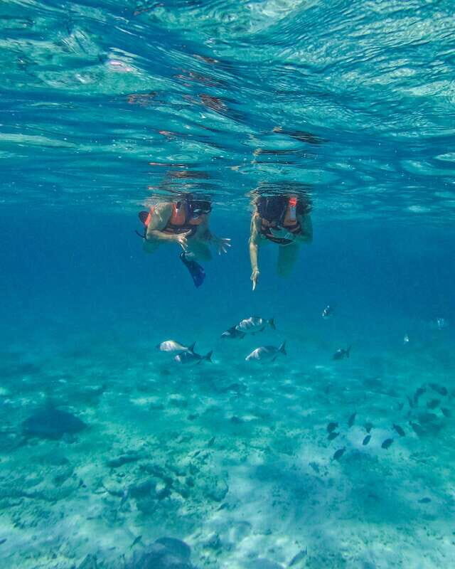 Tulum: 2-Hour Snorkeling in Two Spots of Tulum's Reef - Getting to the meeting point: inside the park, on your own time